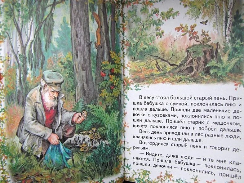 Пришвин иллюстрации к произведениям. Пенек для сказки. Иллюстрация к сказке катаева старый пень. Старый пень катаев. Иллюстрацию к сказке в.