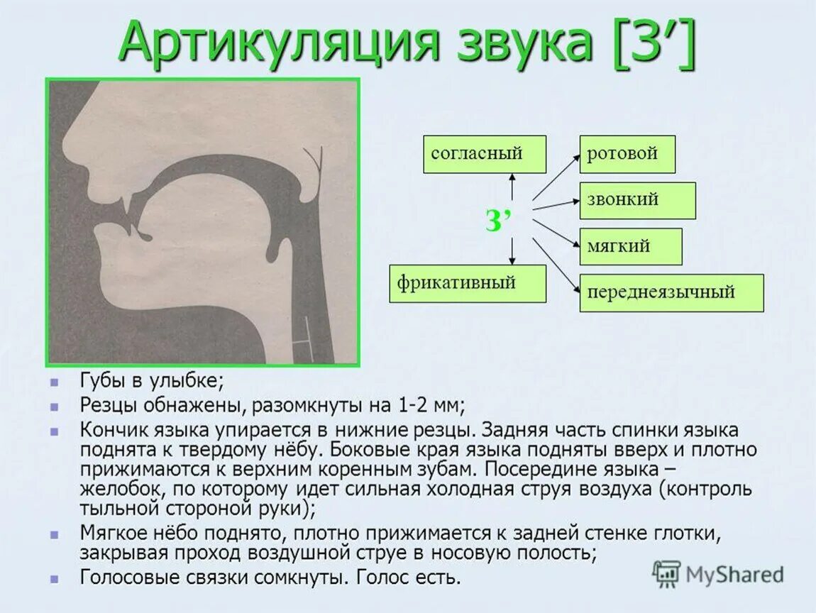 Звук развития. Характеристика звуков р и рь в логопедии. Правильная артикуляция звука р для детей. Положение органов артикуляции при произнесении звука с. Артикуляция и характеристика звуков к, кь