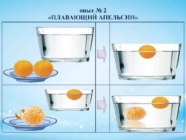 Опыт тонет не тонет. Опыт с апельсином тонет не тонет. Опыт с мандарином и водой. Эксперимент с апельсином и водой. Опыты с апельсином для дошкольников.