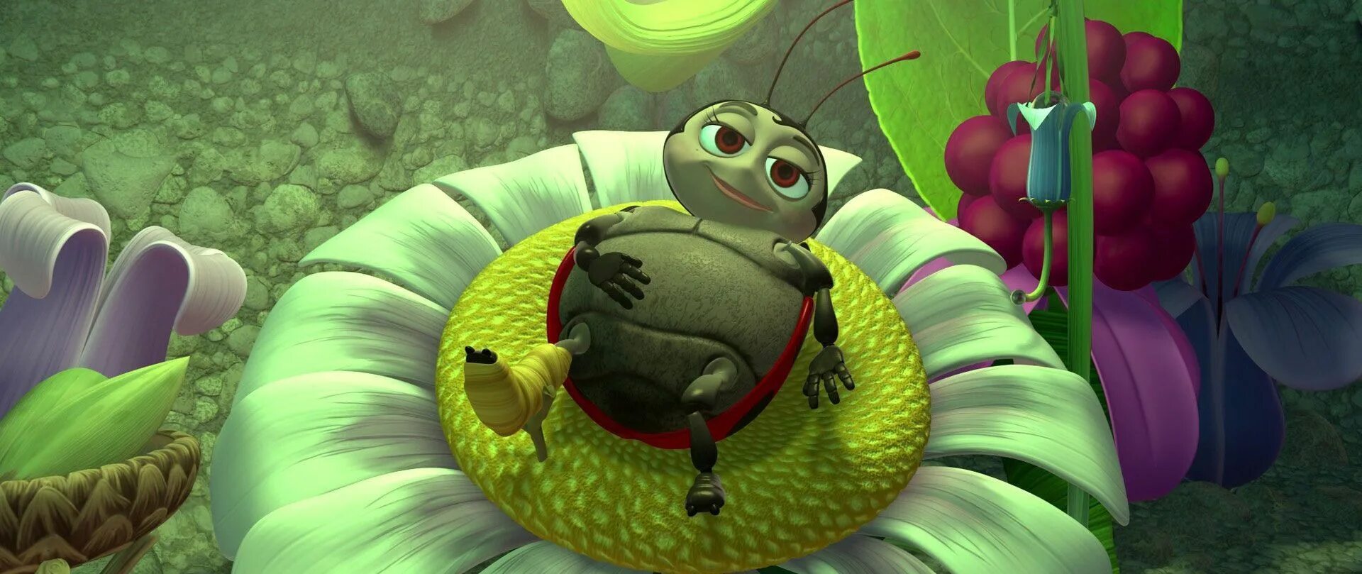 A bug s sleep