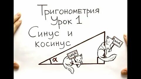 Котангенс кот ученый что никогда не охотился