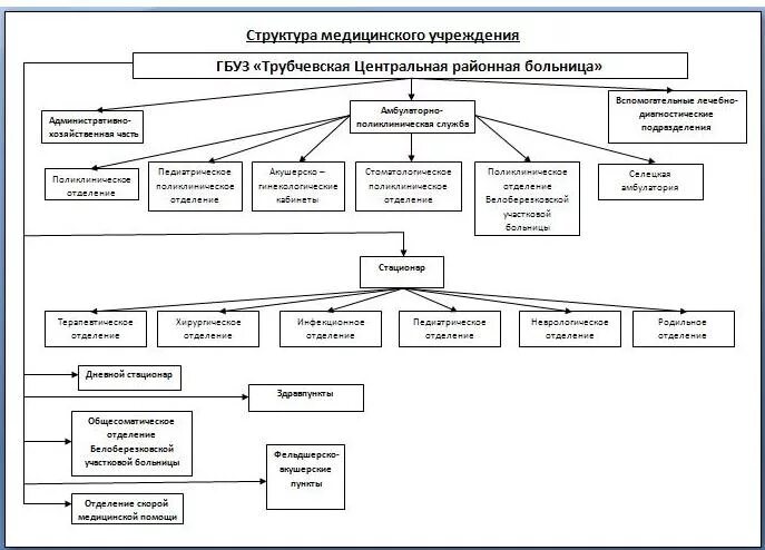 Организационная структура управления медицинской организации. Структура медицинской организации схема. Структурная схема медицинского учреждения. Структура управления медицинским учреждением. Органы частного учреждения