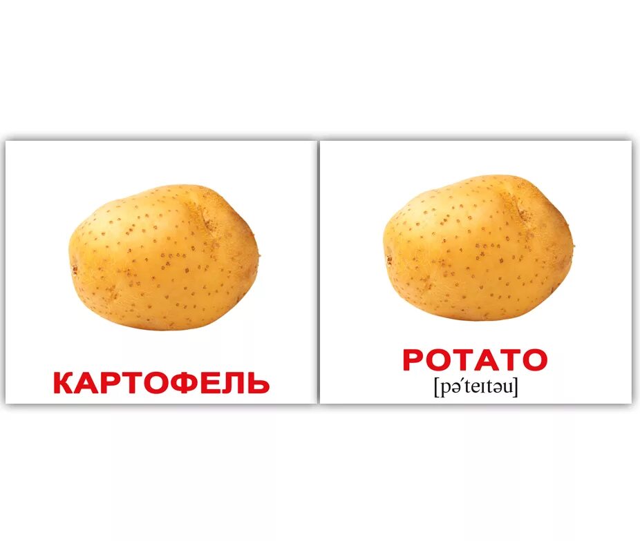 карточки картошка на англ. Potato как переводится на русский. кауч потейтоу. Potato как переводится на русский. Potato транскрипция.