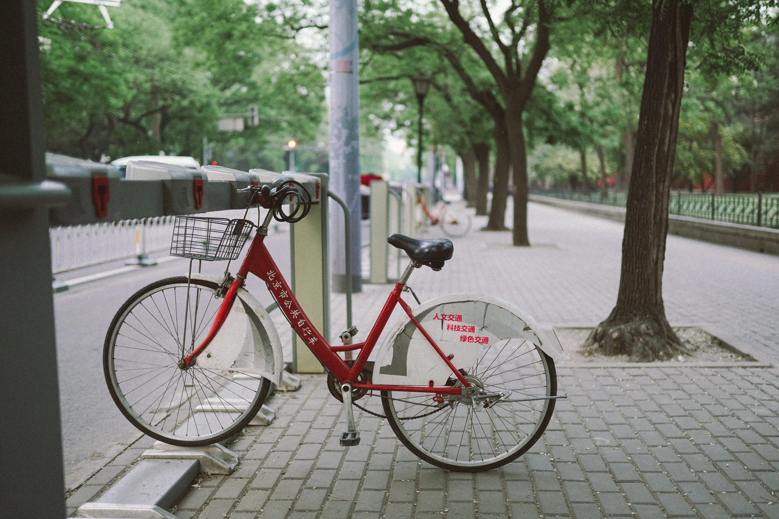 My new bicycle. Велосипед на улице. Дорожный велосипед. Велосипед во дворе. Велосипед на дороге.