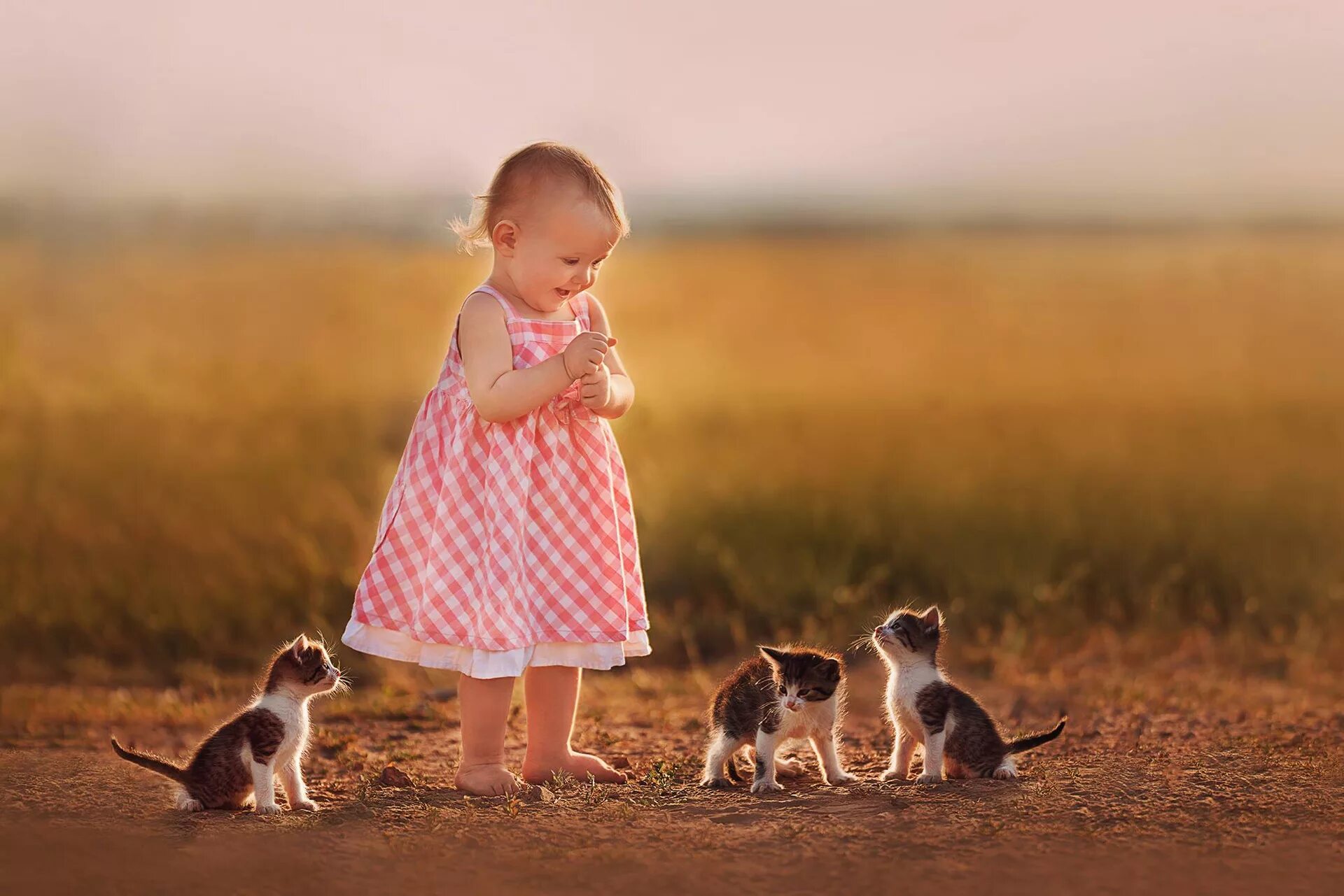 Котенок играет малыша. Маленькие дети и животные. Для детей. Животные. Ребенок и животное. Котёнок-ребёнок.