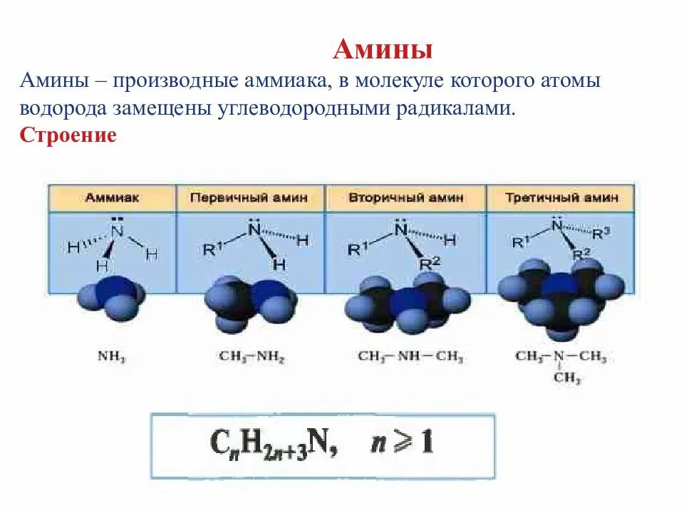 Амины строение. Амины первичные вторичные третичные структуры. аллотропия кислорода. строение первичных аминов.