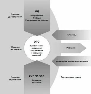 Принцип действительности