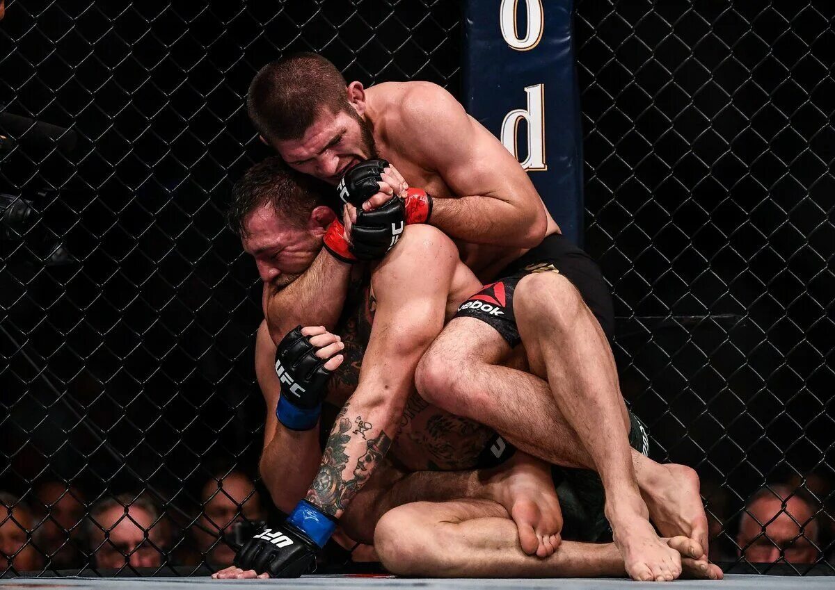 Бой хабиба против макгрегора. Конор макгрегор. Хабиб макгрегор бой. Нурмагомедов макгрегор бой. Бой хабиба против макгрегора.