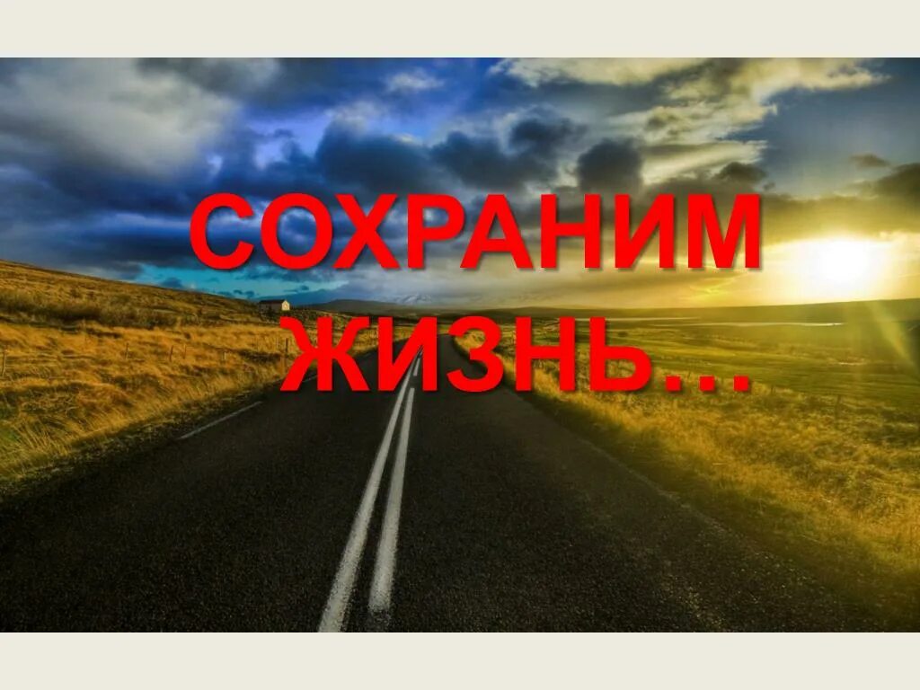 Сохрани жизнь в пути. Берегите детей на дороге. берегите себя на дорогах. берегите свою жизнь на дороге. сохранить жизнь дорога.