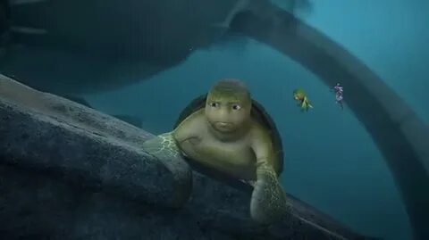 Turtle tale