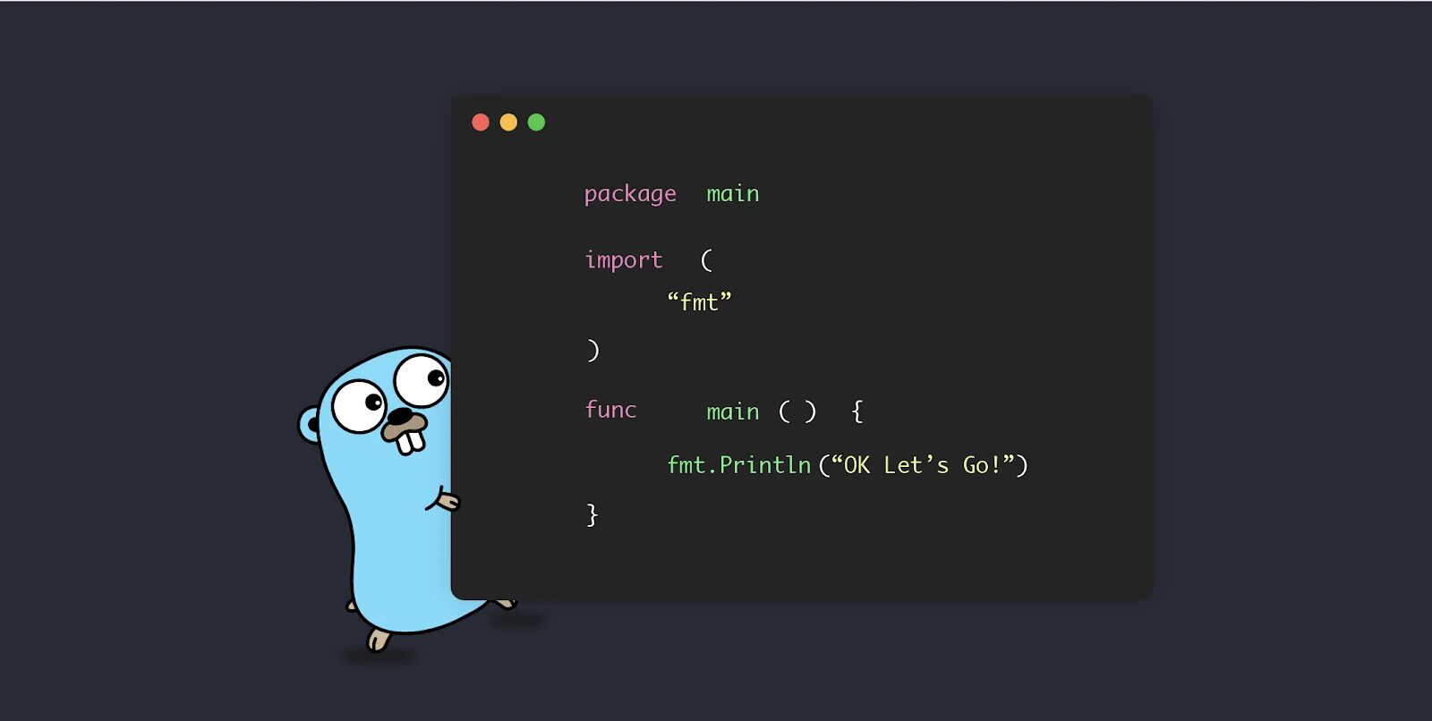 Язык go. Go язык программирования. golang язык программирования. гофер голанг. go язык программирования логотип.