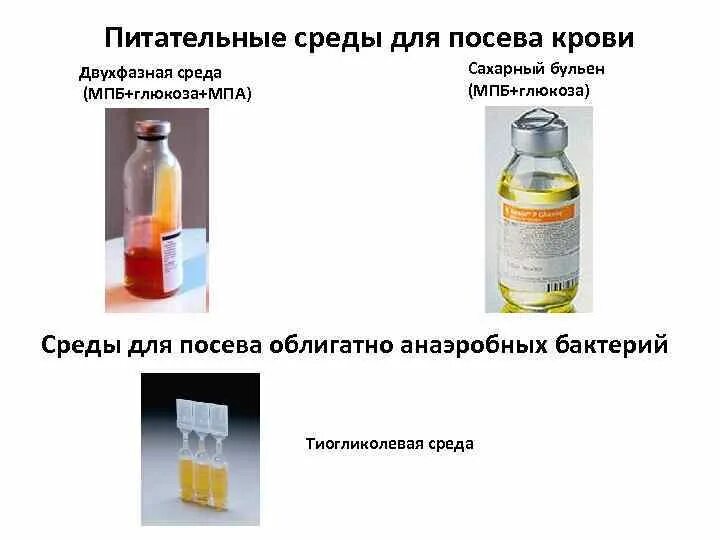 Наполнение средами