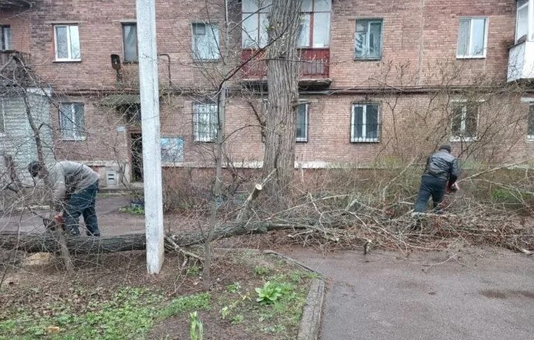 Группа горловка в контакте. Горловка. Коммунальщики. Город Горловка Донецкая область. В Донецке повалились деревья.