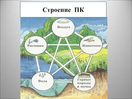 Состав географической оболочки 6 класс