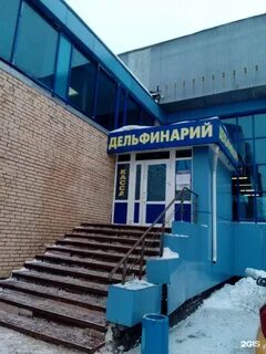 Дельфинарий набережные челны расписание 2024