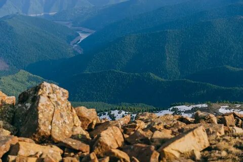 Борус красноярск
