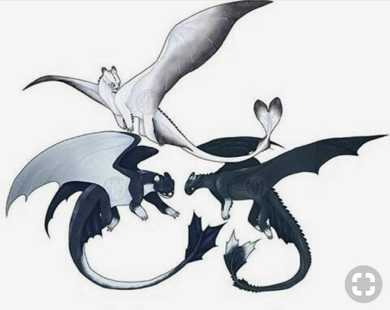 Как приручить дракона детеныши. Дневная и ночная фурия и их дети. Как приручить дракона 3 дети беззубика. Как приручить дракона детеныши. Angry lights fury base.