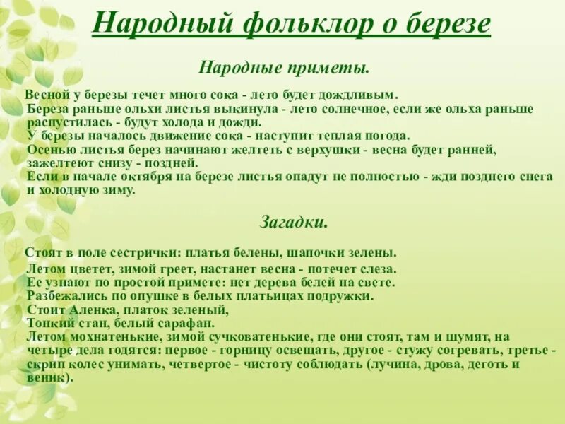 Сказка о Березе. Приметы о Березе. Рассказы сказки о Березе. Сказка про березку. Секреты березки