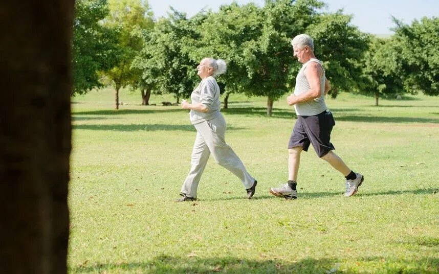 Take up a sport. Прогулка пожилых людей. Ходьба пешком прогулка. Люди на прогулке. Бег трусцой пенсионеров.