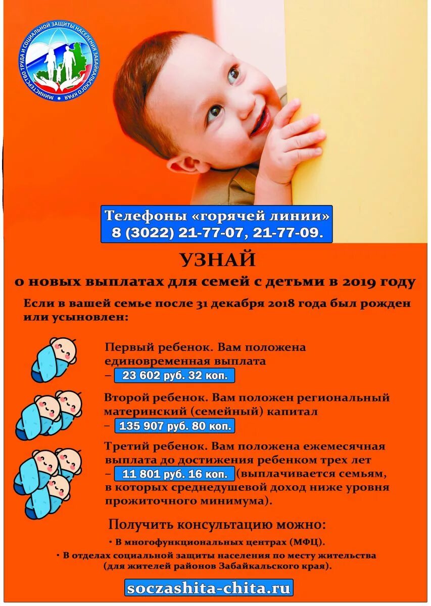 государственные программы. пособии на ребенка на первого в забайкальском крае. выплаты в забайкальском. края. выплата детских пособий.