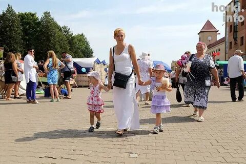 Новости дрибина