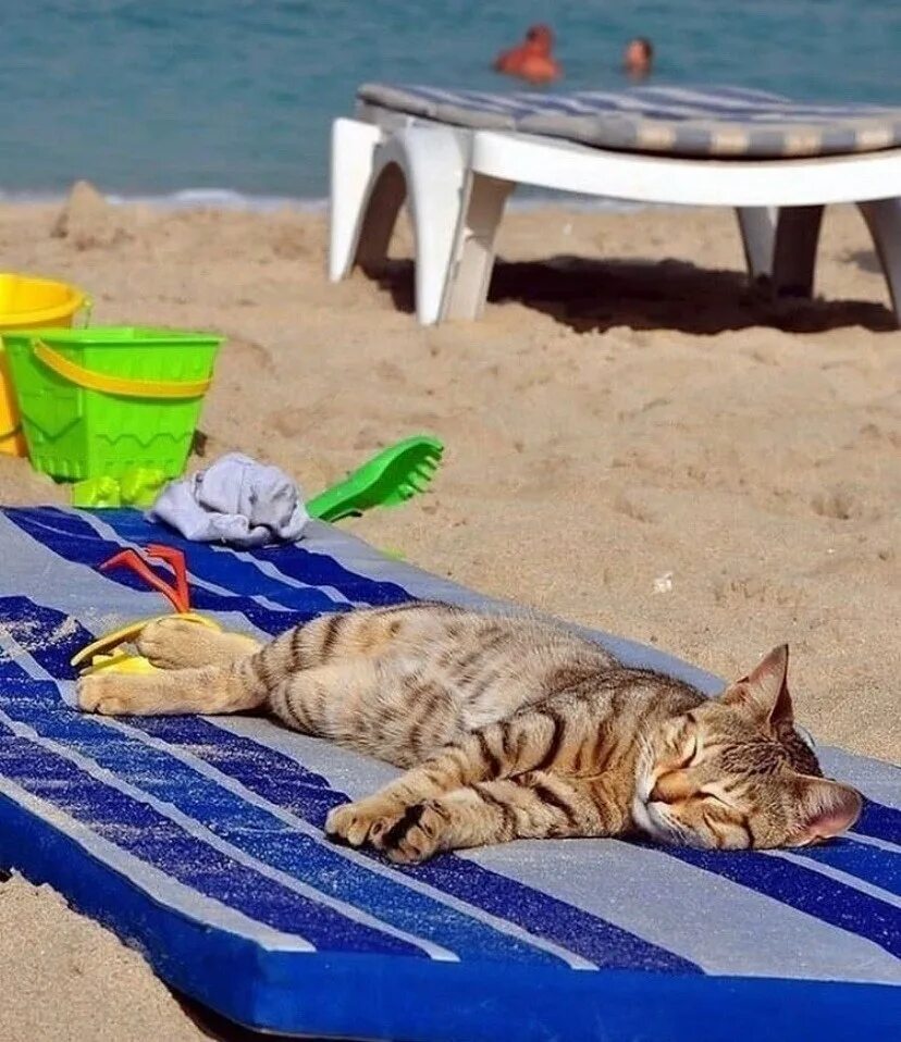 Отпуск чемодан. Чемодан на пляже. Отдыхать на море. Вы поедете в отпуск. Полетели на море.