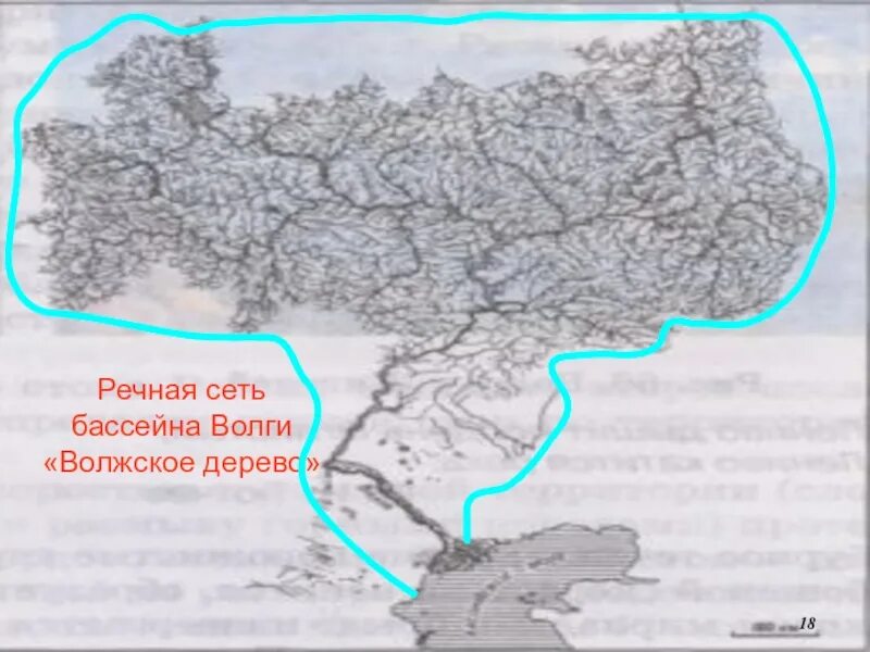 Рельеф бассейна реки волга. Речная сеть Волги. Бассейн реки Волга. Бассейн Волги на карте. Волжский бассейн реки.