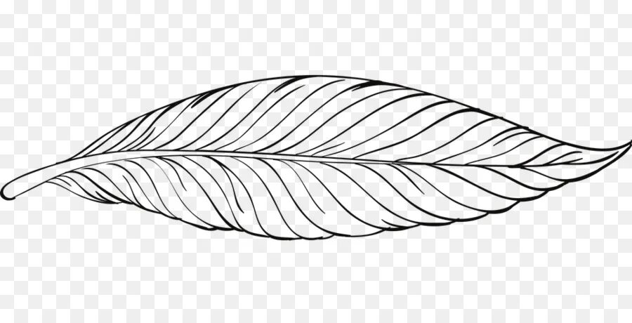 Раскраска перо птицы для детей распечатать Set of Line Drawing Feathers Stock Vector Illustration of decor, plume: 531294