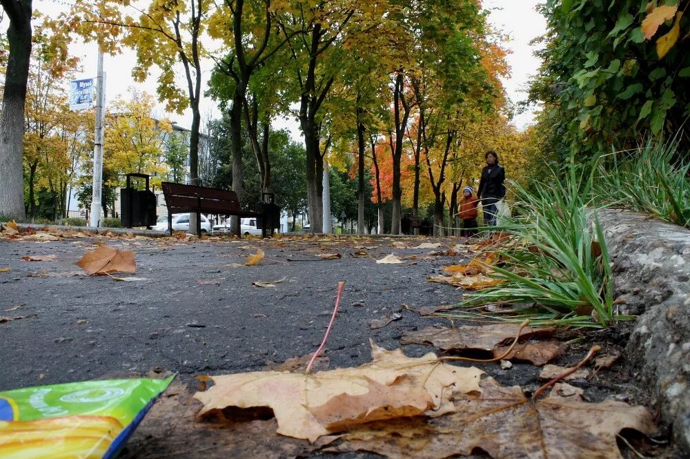 Парк заря балашиха. Здание труд сейчас. Комбинат благоустройства балашиха. Школа 23 балашиха. Балашиха последнее.