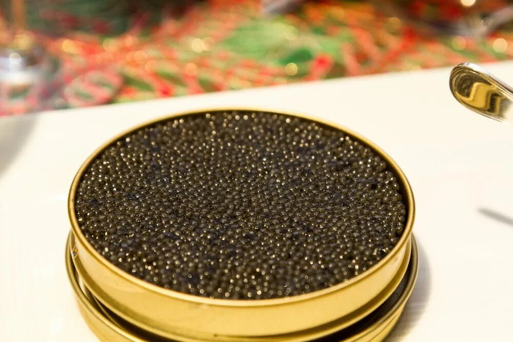 Калуга Квин черная икра. Черная икра. Настоящая черная икра. Caviar икра.