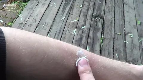 Штаны чтобы не кусали комары