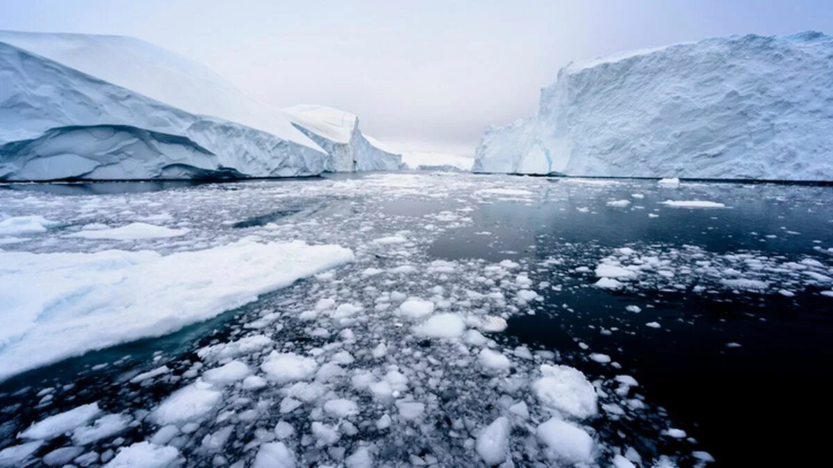 Арктические моря. Арктика. Исландия северный ледовитый океан. The sea ice in the arctic. Исландия северный ледовитый океан.