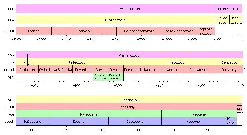 Сколько будет 3000 лет. Timeline of Earth. Эпидемия шкала времени. Geological periods. Periods of History.