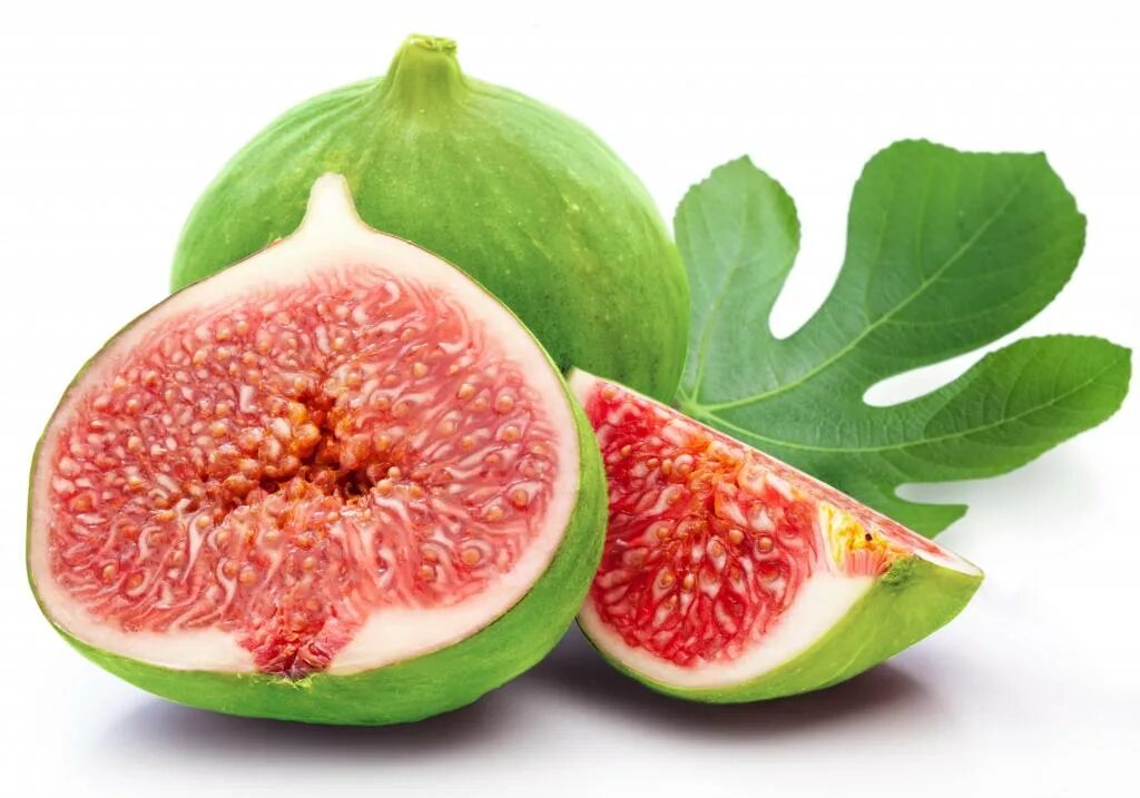 южное дерево инжир. кроссворд 4 буквы. инжир белый. инжир стихи для детей. инжир смоковница.