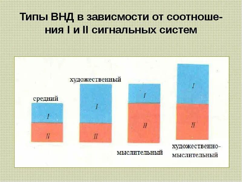 Первая сигнальная система наглядно-образное мышление. Типы внд. Типы высшей нервной деятельности. Художественный тип внд. П павлову.