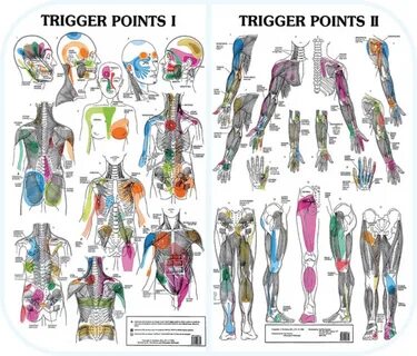 Trigger meaning