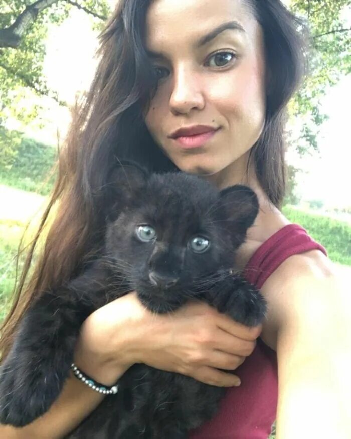 Пантера луна в каком городе. Luna the pantera виктория. пантера луна хозяйка вика. пантера луна и венза. пантера луна домашняя.