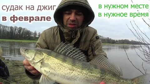 Ловля судака на спиннинг осенью с берега