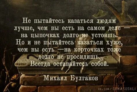 Кажется афоризмы