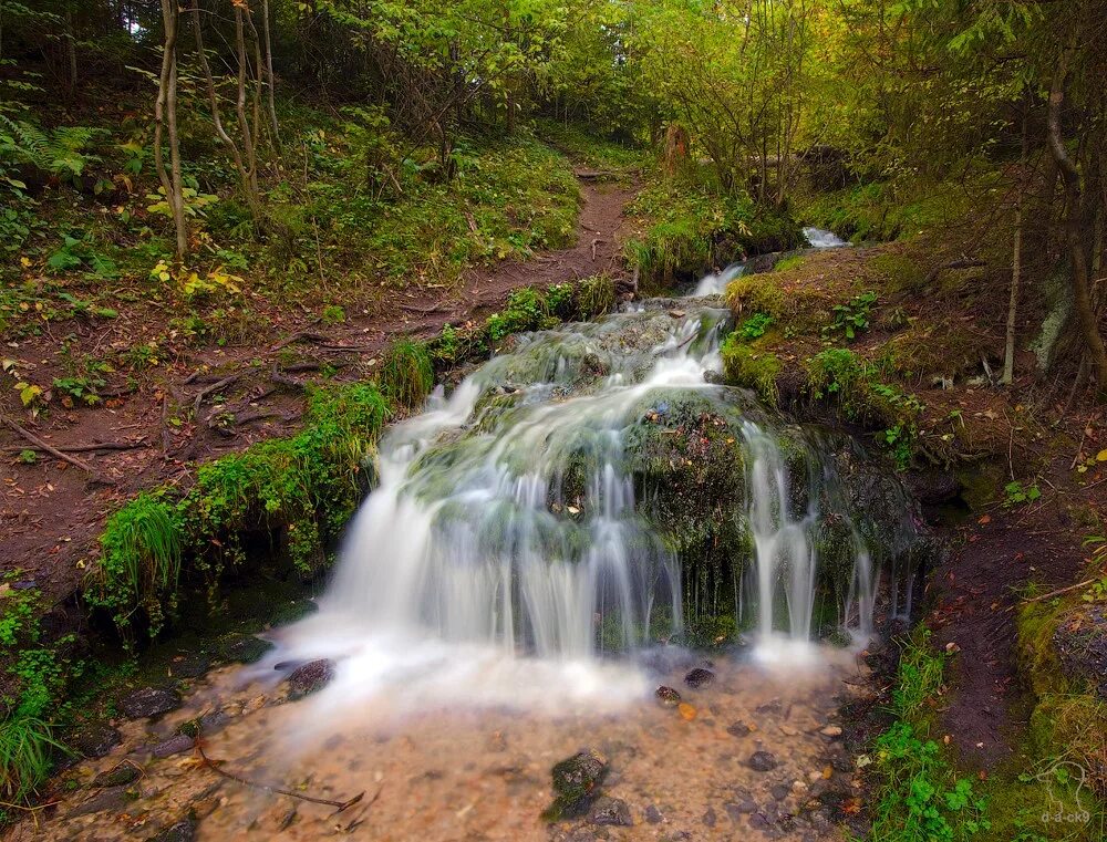 Долина семи ручьев верея. Водопад «семь ручьев», золотьково. Долина семи ручьев в подмосковье. Долина семи ключей подмосковье. Ручей 7 букв.