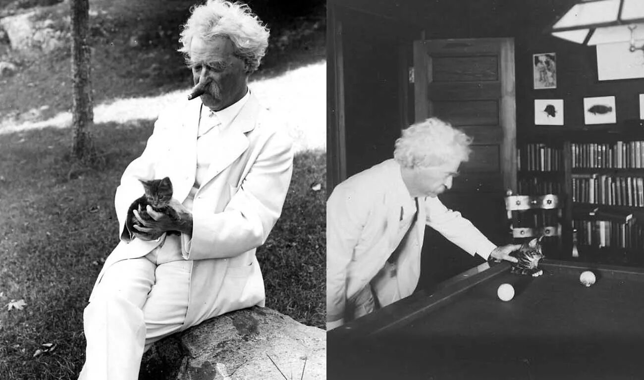Писатели кошатники. Твен кот. Твен кот. Фото марка твена. Твен кот.