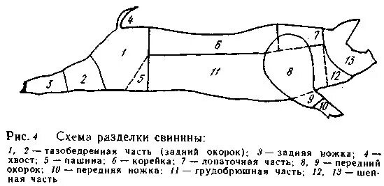 Схема разделки туши свиньи. Обвалка туши свиньи схема. схема обвалка свининой туши.. схема разруба туши свинины.