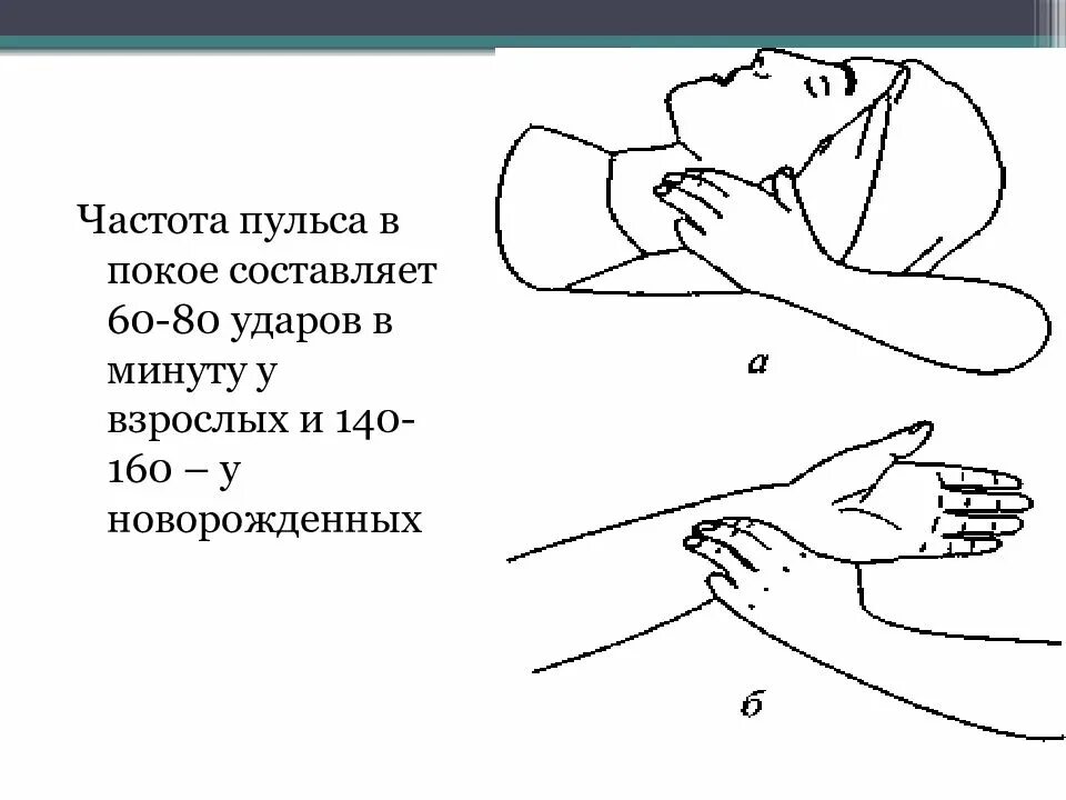 Пульс в покое составляет. Точки для снижения пульса. частоты пульсовых ударов в минуту. точка для снижения частоты пульса. точки для поднятия пульса.