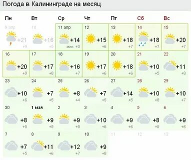 Погода в калининграде в ноябре 2024 какая