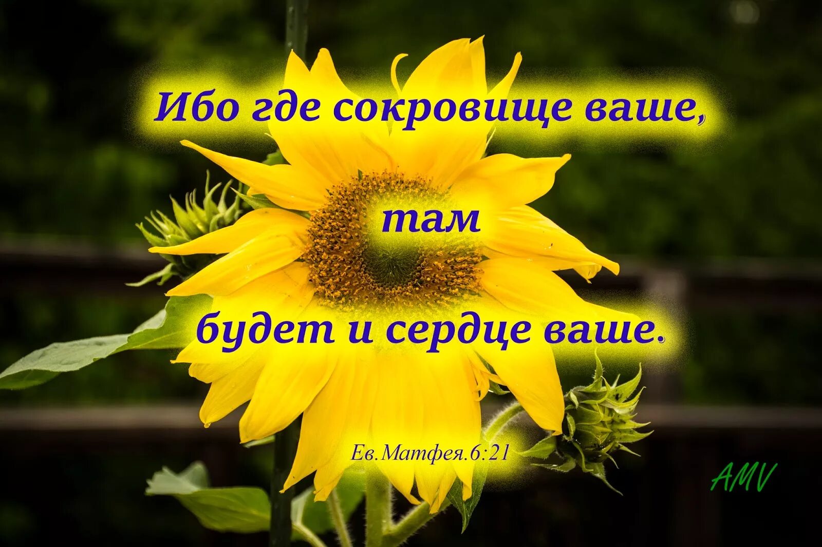 Будь там где твое сердце. Будь там где твое сердце. Там где сердце ваше там и сокровище ваше. Там и сердце ваше. Где сокровище твое там и сердце рядом.
