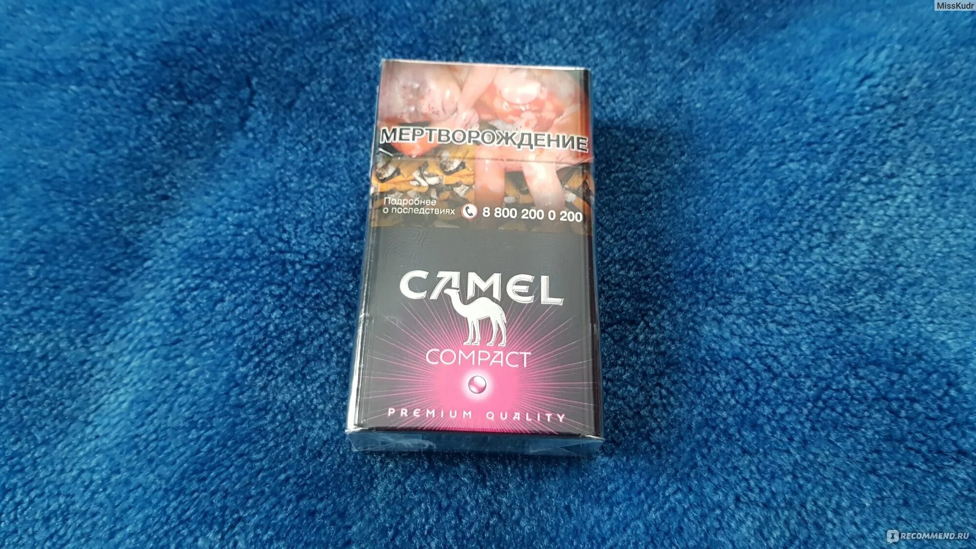 Camel Compact 100 Ruby. Cигареты с фильтром "Camel Compact Ruby". Camel Compact с розовой кнопкой. Сигареты Compact Compact Ruby.