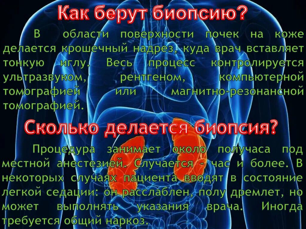 Как делают биопсию почки. Пункционная биопсия почек. биопсия почки при гломерулонефрите. биопсия почки как проводится.