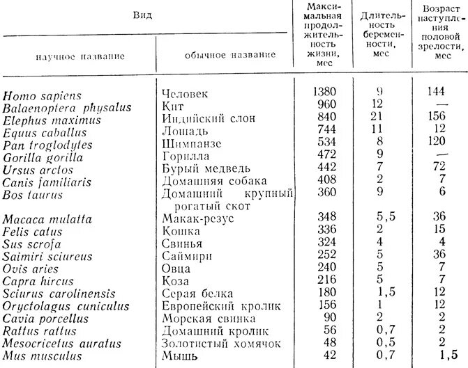 Читать сколько живут