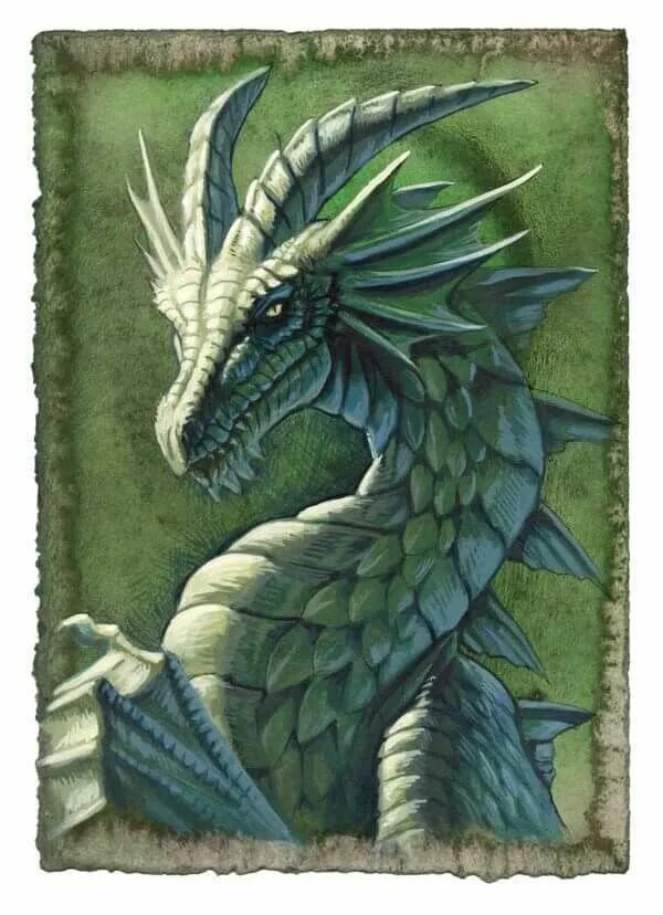 Рисунок зеленого деревянного дракона. Грин драгон. Зеленый деревянный дракон. Вымышленные драконы. Европейский дракон.