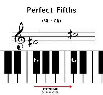 Perfect 5 in 1